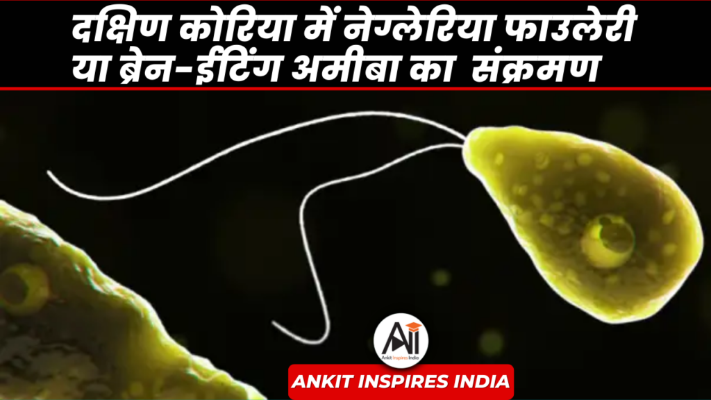 दक्षिण कोरिया में नेग्लेरिया फाउलेरी या ब्रेन-ईटिंग अमीबा का संक्रमण