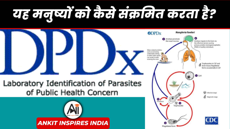 यह मनुष्यों को कैसे संक्रमित करता है