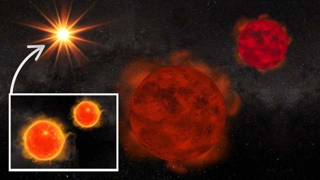 rare quadruple stellar system in the Milky Way