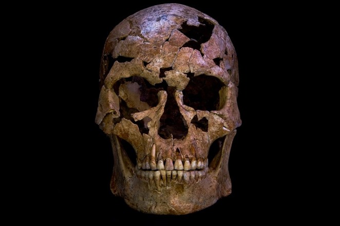 12000 year old skeleton excavated in Vietnam reveals