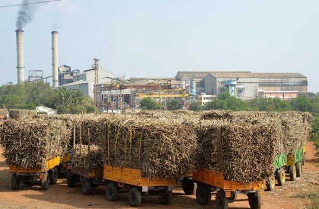 ban on ethanol production from sugarcane lifted
