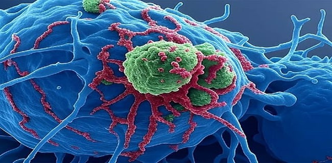 IIT Guwahati develops nanosensor to detect cancer causing water pollutants
