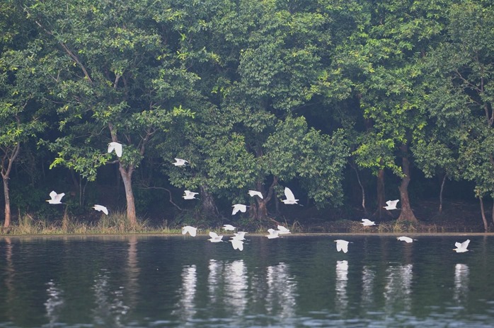 Two wetlands of Bihar included in Ramsar sites