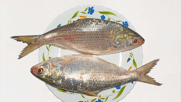 Bangladesh deploys army to protect Hilsa fish
