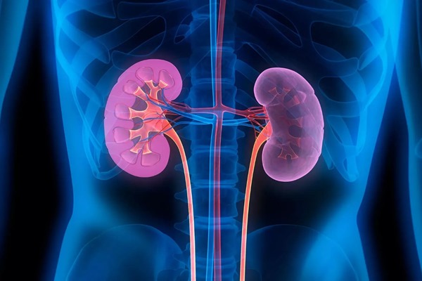 India has the second highest number of chronic kidney disease cases