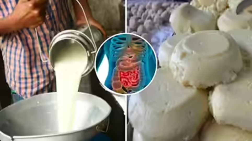 FSSAI launches nationwide campaign against fake cheese and adulterated milk