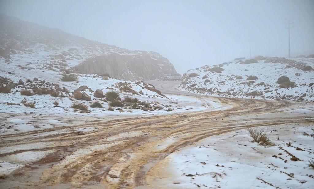 Saudi Arabia desert covered in rare winter snow