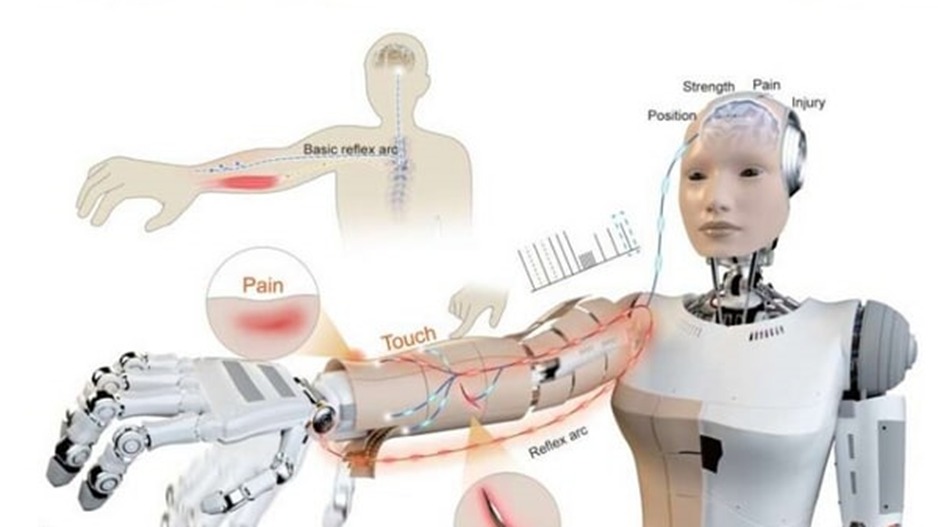 Chinese scientists have created pain-sensing electronic skin