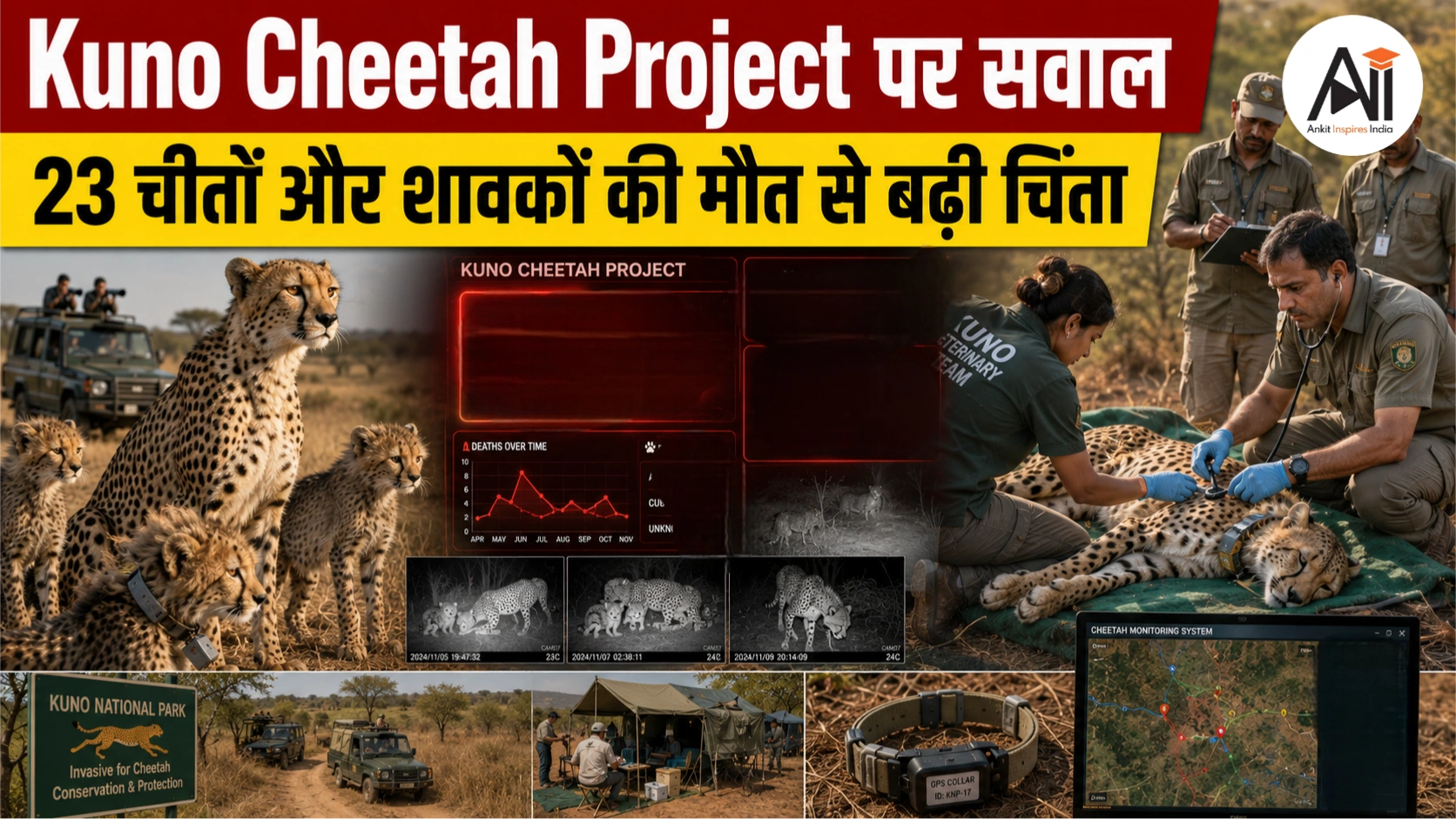 Kuno Cheetah Project: 23 चीतों और शावकों की मौत के बाद उठे सवाल, क्या प्रोजेक्ट चीता बड़ी चुनौती से जूझ रहा है?