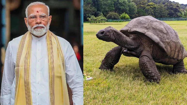 Jonathan Tortoise