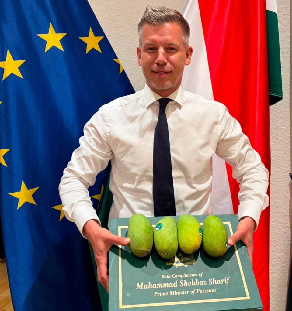 Hungary Magyar